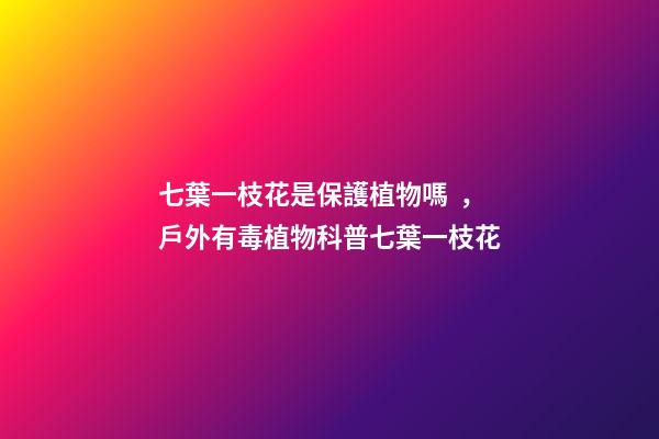 七葉一枝花是保護植物嗎，戶外有毒植物科普七葉一枝花